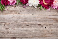 De bloemen van de tuinpioen op hout stock fotografie De bloemen van de tuinpioen op hout stock fotografie