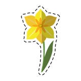 De bloemlentetijd van beeldverhaalnarcissen stock illustratie De bloemlentetijd van beeldverhaalnarcissen stock illustratie