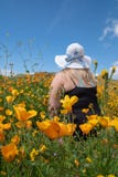 De blondevrouw die een hoed van de strobonnet dragen kijkt uit aan het gebied van papaverwildflowers tijdens superbloom royalty-vrije stock afbeelding De blondevrouw die een hoed van de strobonnet dragen kijkt uit aan het gebied van papaverwildflowers tijdens superbloom royalty-vrije stock afbeelding