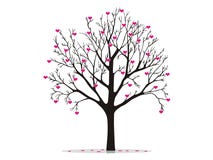 De boom van de valentijnskaart met harten vector illustratie De boom van de valentijnskaart met harten vector illustratie