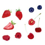 De bosbesseninzameling van de de zomer verse zoete strowberry framboos royalty-vrije illustratie De bosbesseninzameling van de de zomer verse zoete strowberry framboos royalty-vrije illustratie