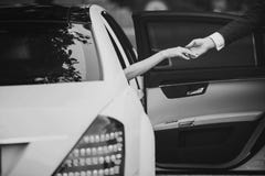 De bruid in Luxeauto geeft Hand aan Bruidegom royalty-vrije stock afbeeldingen De bruid in Luxeauto geeft Hand aan Bruidegom royalty-vrije stock afbeeldingen