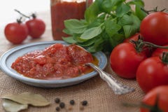 De Bruschettasaus, de Verse Rode Tomaten en Groen Basil Leaves, en Sommige Kruiden, Rustieke Achtergrond, sluiten omhoog op een K royalty-vrije stock afbeelding De Bruschettasaus, de Verse Rode Tomaten en Groen Basil Leaves, en Sommige Kruiden, Rustieke Achtergrond, sluiten omhoog op een K royalty-vrije stock afbeelding