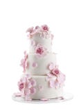 De cake van het huwelijk royalty-vrije stock foto's De cake van het huwelijk royalty-vrije stock foto's