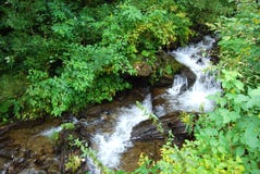 De cascade van de zoet waterlente Stock Afbeeldingen De cascade van de zoet waterlente Stock Afbeeldingen