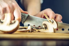 De chef-kok in zwarte schort snijdt paddestoelen met een mes Concept milieuvriendelijke producten voor het koken stock afbeelding De chef-kok in zwarte schort snijdt paddestoelen met een mes Concept milieuvriendelijke producten voor het koken stock afbeelding