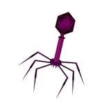 De cultuurachtergrond van de bacteriofaagcel in fluweel met aren, DNA royalty-vrije illustratie De cultuurachtergrond van de bacteriofaagcel in fluweel met aren, DNA royalty-vrije illustratie