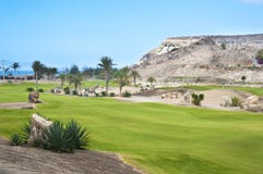 De cursusfairway van het golf bij tropische toevlucht royalty-vrije stock afbeeldingen De cursusfairway van het golf bij tropische toevlucht royalty-vrije stock afbeeldingen