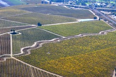 De Dalingswijngaarden van Pasorobles van een vliegtuig worden bekeken - verbazende de herfstkleuren die Stock Foto De Dalingswijngaarden van Pasorobles van een vliegtuig worden bekeken - verbazende de herfstkleuren die Stock Foto