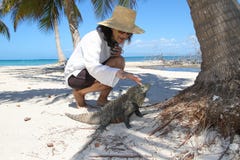 De dame strelt Cubaanse rotsleguaan op het strand royalty-vrije stock foto De dame strelt Cubaanse rotsleguaan op het strand royalty-vrije stock foto