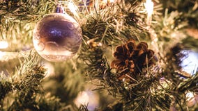 De decoratie backlighted op een Kerstmisboom stock afbeeldingen De decoratie backlighted op een Kerstmisboom stock afbeeldingen