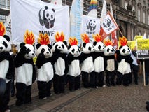 De Demonstratie van de Verandering van het Klimaat van de V.N. De Demonstratie van de Verandering van het Klimaat van de V.N.