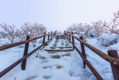 De Deogyusanbergen wordt behandeld door sneeuw stock fotografie De Deogyusanbergen wordt behandeld door sneeuw stock fotografie
