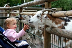 In de dierentuin