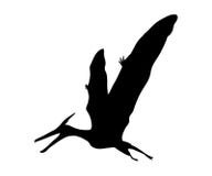 De dinosaurus Jura voorhistorisch dier van silhouetpterosaur vector illustratie De dinosaurus Jura voorhistorisch dier van silhouetpterosaur vector illustratie