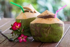 De drank van het kokosnotenwater royalty-vrije stock afbeeldingen De drank van het kokosnotenwater royalty-vrije stock afbeeldingen