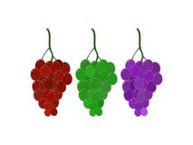 De drie kleuren mooie druiven die op de witte achtergrond hangen stock illustratie De drie kleuren mooie druiven die op de witte achtergrond hangen stock illustratie