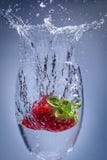 De duik van de aardbeiplons in water in een wijnglas royalty-vrije stock foto De duik van de aardbeiplons in water in een wijnglas royalty-vrije stock foto
