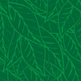 De eenvoudig groene achtergrond van het theebladen naadloze patroon vector illustratie De eenvoudig groene achtergrond van het theebladen naadloze patroon vector illustratie