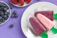 De eigengemaakte Bosbes en Aardbeiyoghurt knalt stock fotografie De eigengemaakte Bosbes en Aardbeiyoghurt knalt stock fotografie