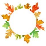 De eiken bladeren van de waterverfherfst Cirkelkader op witte achtergrond royalty-vrije illustratie De eiken bladeren van de waterverfherfst Cirkelkader op witte achtergrond royalty-vrije illustratie
