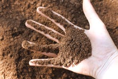 De gedachten van de het levensaanraking royalty-vrije stock afbeeldingen De gedachten van de het levensaanraking royalty-vrije stock afbeeldingen