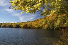 De gele berk verlaat kader Russell Pond in de herfst, New Hampshire royalty-vrije stock fotografie De gele berk verlaat kader Russell Pond in de herfst, New Hampshire royalty-vrije stock fotografie