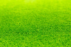 De groene lege ruimte van het gras heldere levendige gebied royalty-vrije stock afbeeldingen De groene lege ruimte van het gras heldere levendige gebied royalty-vrije stock afbeeldingen