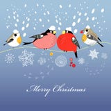 De groetkaart van Kerstmis met vogels vector illustratie De groetkaart van Kerstmis met vogels vector illustratie
