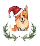 De hand getrokken illustratie van de beeldverhaalwaterverf van corgihond in de hoed van de Kerstman stock illustratie De hand getrokken illustratie van de beeldverhaalwaterverf van corgihond in de hoed van de Kerstman stock illustratie
