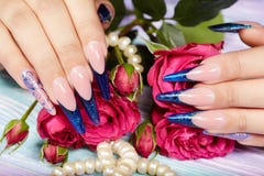 De handen met het lange kunstmatige blauwe Frans manicured spijkers en roze nam bloemen toe royalty-vrije stock fotografie De handen met het lange kunstmatige blauwe Frans manicured spijkers en roze nam bloemen toe royalty-vrije stock fotografie