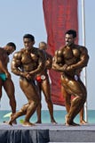 De HEMEL DUIKT Kampioenschap 4 van DOUBAI Bodybuilding stock afbeeldingen De HEMEL DUIKT Kampioenschap 4 van DOUBAI Bodybuilding stock afbeeldingen