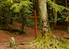 De herfst bos en mystiek kruis bij de weide royalty-vrije stock afbeelding De herfst bos en mystiek kruis bij de weide royalty-vrije stock afbeelding