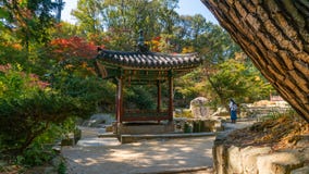 De herfst changdeokgung paleis stock afbeeldingen De herfst changdeokgung paleis stock afbeeldingen