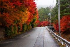 De herfst doorbladert rond bergopwaartse straat, Kawaguchiko Stock Foto's De herfst doorbladert rond bergopwaartse straat, Kawaguchiko Stock Foto's