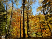 De herfst in de kleurenmeer van Polen stock afbeeldingen De herfst in de kleurenmeer van Polen stock afbeeldingen