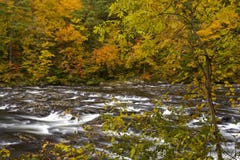 De herfst, Tellico Rivier, Cherokee N-F royalty-vrije stock afbeelding De herfst, Tellico Rivier, Cherokee N-F royalty-vrije stock afbeelding