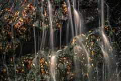 De herfstbladeren en waterval, Blauw Ridge Mountains stock afbeeldingen De herfstbladeren en waterval, Blauw Ridge Mountains stock afbeeldingen