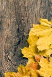 De herfstbladeren over houten achtergrond met exemplaarruimte stock afbeelding De herfstbladeren over houten achtergrond met exemplaarruimte stock afbeelding