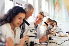 De hogere biologie van het leraarsonderwijs aan studenten in laboratorium royalty-vrije stock afbeeldingen De hogere biologie van het leraarsonderwijs aan studenten in laboratorium royalty-vrije stock afbeeldingen