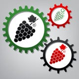De illustratie van het druiventeken Vector Drie verbonden toestellen met ico vector illustratie De illustratie van het druiventeken Vector Drie verbonden toestellen met ico vector illustratie