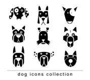 De inzamelingspictogram van de rassenhond, vector Zwarte kleur vector illustratie De inzamelingspictogram van de rassenhond, vector Zwarte kleur vector illustratie