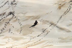 De Jonge geitjes Sledding van Afrika onderaan een Reuzezandduin stock foto's De Jonge geitjes Sledding van Afrika onderaan een Reuzezandduin stock foto's