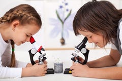 De jonge jonge geitjes in wetenschapslaboratorium bestuderen steekproeven onder de microscoop -microscoop-foc stock afbeeldingen De jonge jonge geitjes in wetenschapslaboratorium bestuderen steekproeven onder de microscoop -microscoop-foc stock afbeeldingen