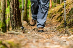 De jonge meisjesvrouw Wandeling schoes en de stokken detailleren mening in de bos openluchtactiviteit in aard royalty-vrije stock fotografie De jonge meisjesvrouw Wandeling schoes en de stokken detailleren mening in de bos openluchtactiviteit in aard royalty-vrije stock fotografie