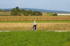 De Jongen van Amish op Autoped. stock afbeeldingen De Jongen van Amish op Autoped. stock afbeeldingen