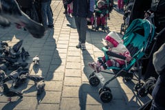 De kinderen voeden duiven bij nieuwe moskeebinnenplaats royalty-vrije stock fotografie De kinderen voeden duiven bij nieuwe moskeebinnenplaats royalty-vrije stock fotografie