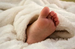 De kleine, voet van kinderen in een witte deken royalty-vrije stock foto De kleine, voet van kinderen in een witte deken royalty-vrije stock foto