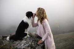 De koele hond border collie van de Meisjeskus op rand van rots in mist stock foto De koele hond border collie van de Meisjeskus op rand van rots in mist stock foto