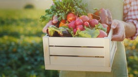 De landbouwer houdt een houten doos met verse groenten Biologische landbouwconcept stock afbeelding De landbouwer houdt een houten doos met verse groenten Biologische landbouwconcept stock afbeelding